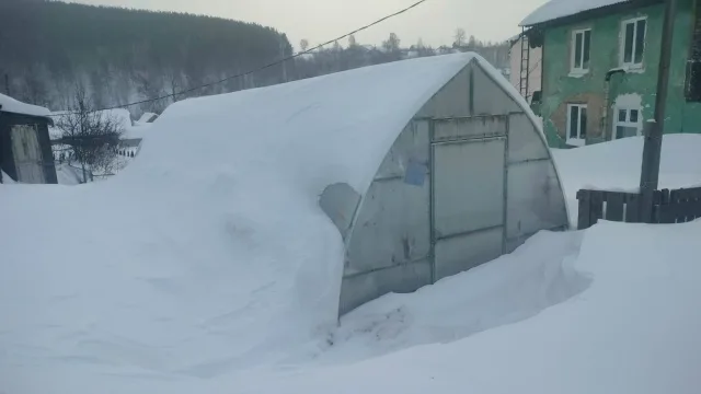 Арочная теплица под снегом, Златоуст, январь 2024